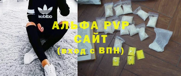 хмурый Алзамай