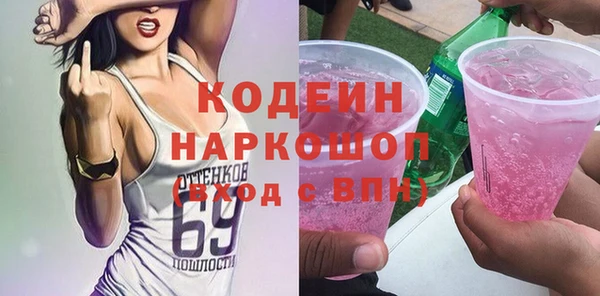 хмурый Алзамай