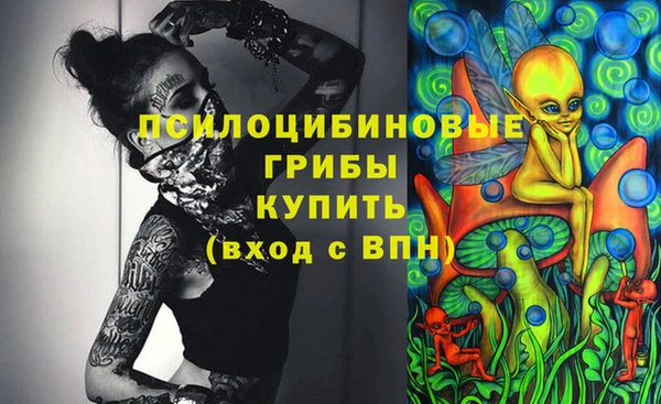 хмурый Алзамай