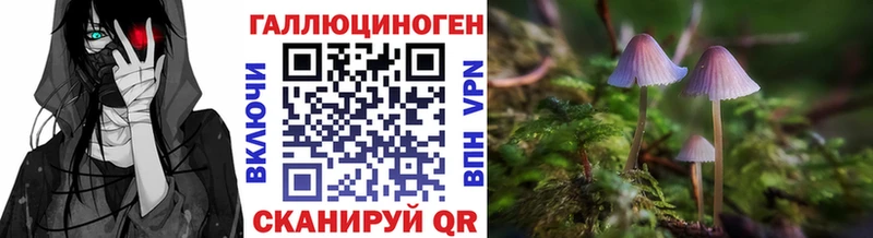 Галлюциногенные грибы Psilocybe  купить наркотик  Коркино 